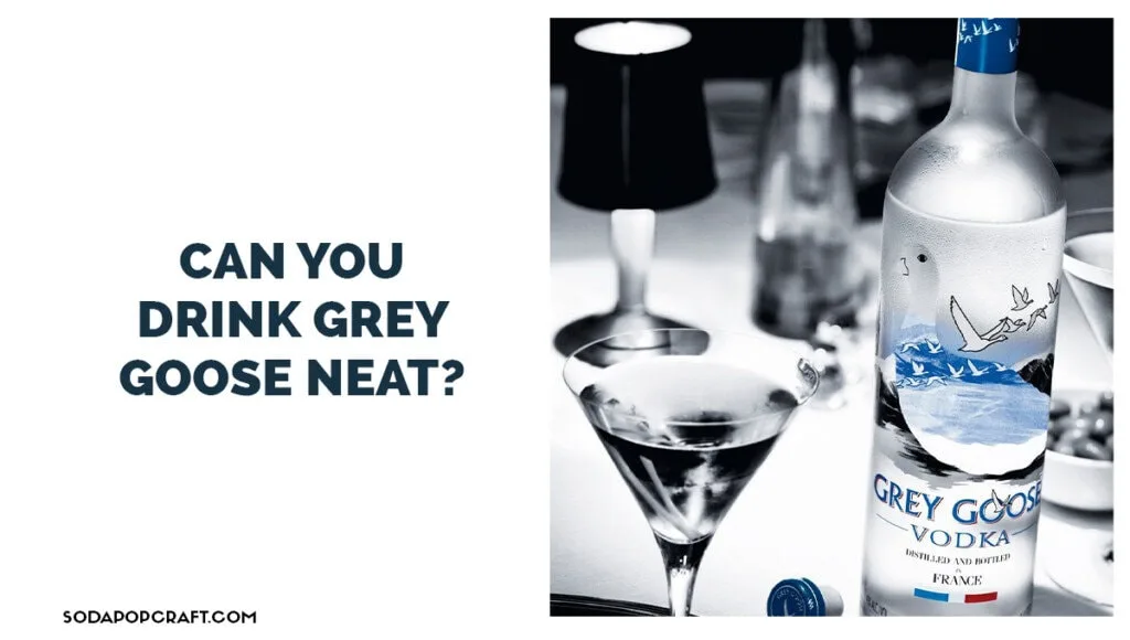 Can you drink Grey Goose neat