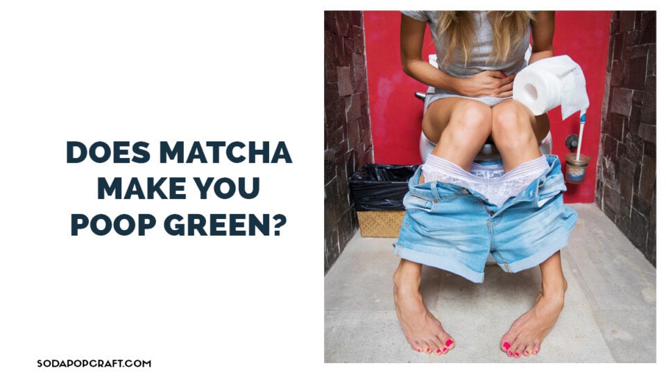 Does Matcha Make You Poop?