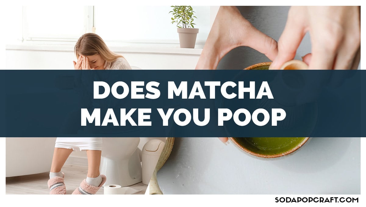 Does Matcha Make You Poop?