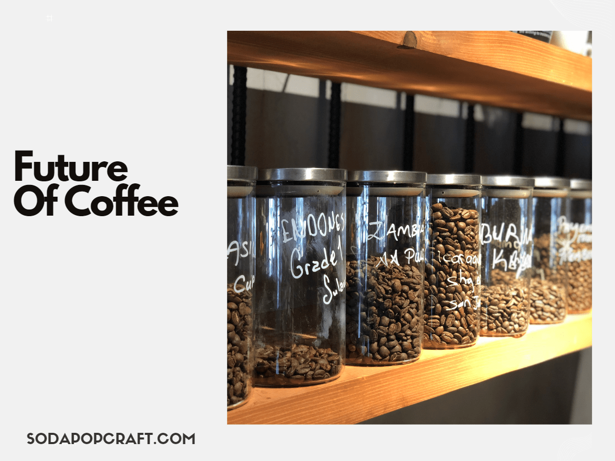 Future Of Coffee