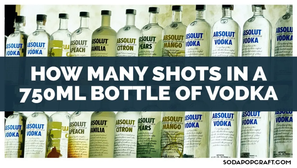 How Many Shots In A 750ml Bottle Of Vodka