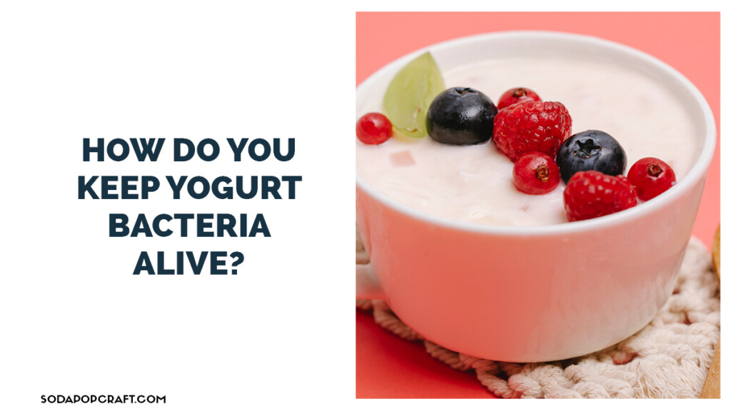 How do you keep yogurt bacteria alive
