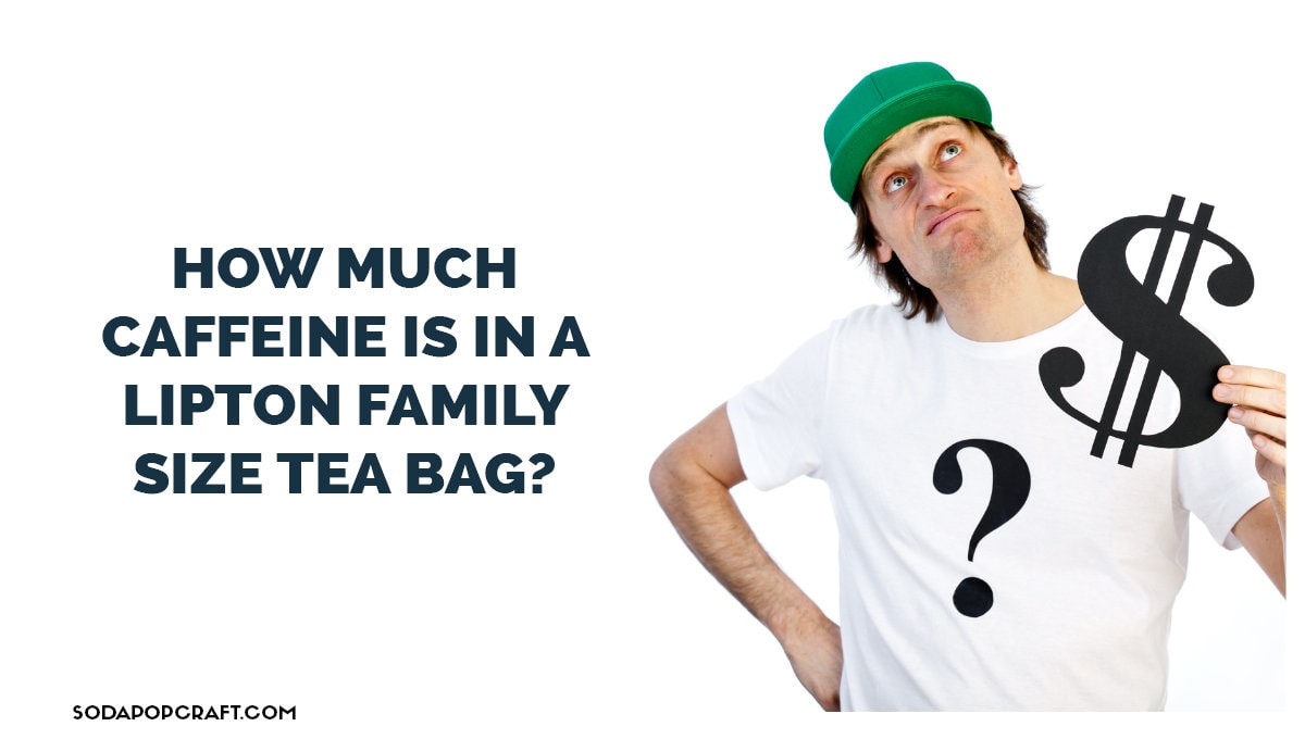 Lipton Family Size Tea Bags