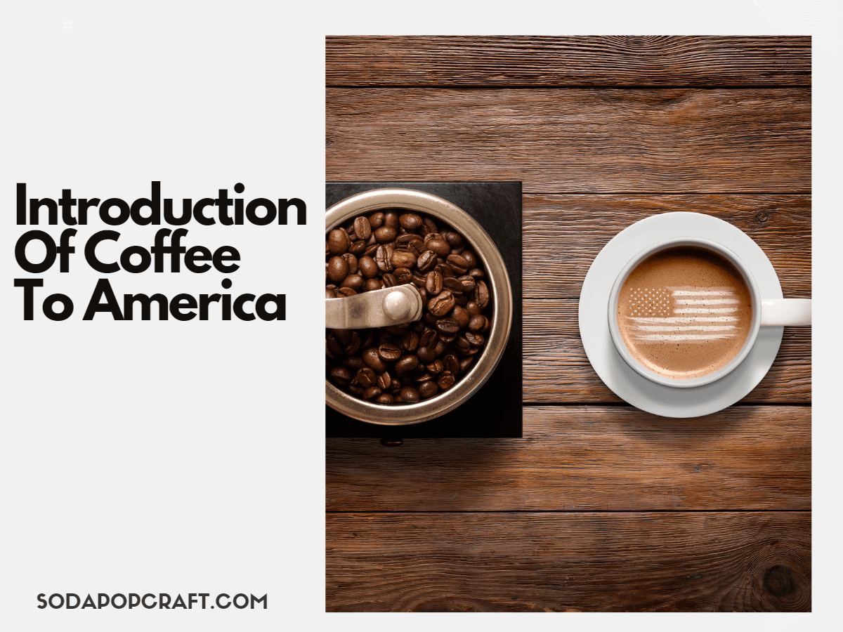 Introduction Of Coffee To America