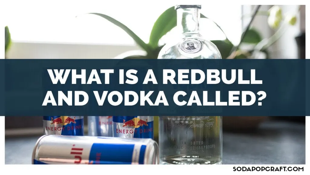 What Is A Redbull And Vodka Called