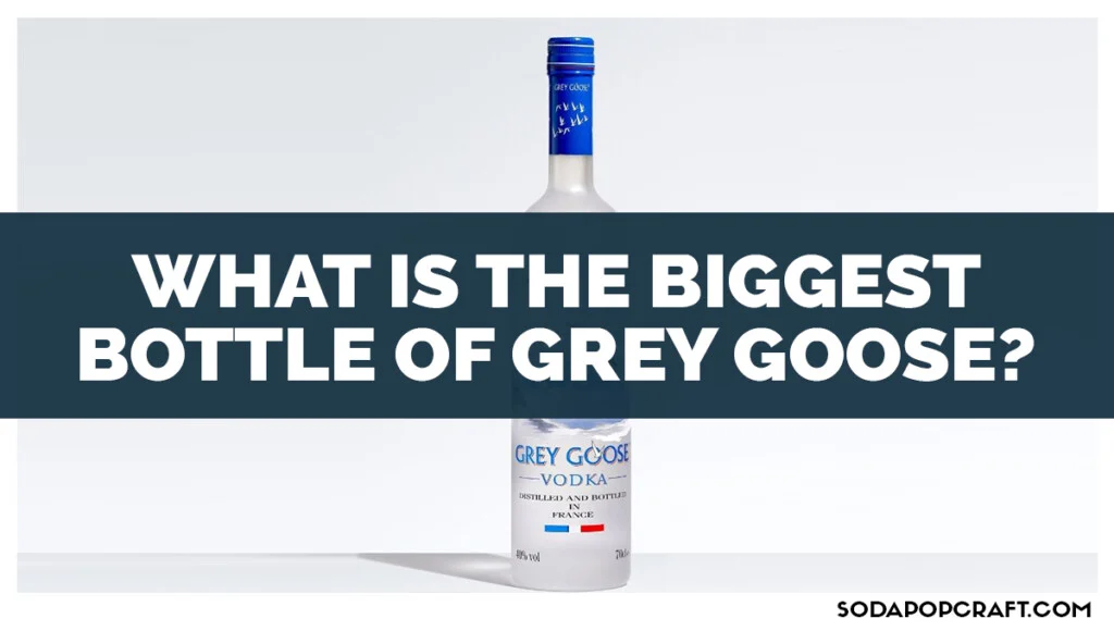 What is the Biggest Bottle Of Grey Goose