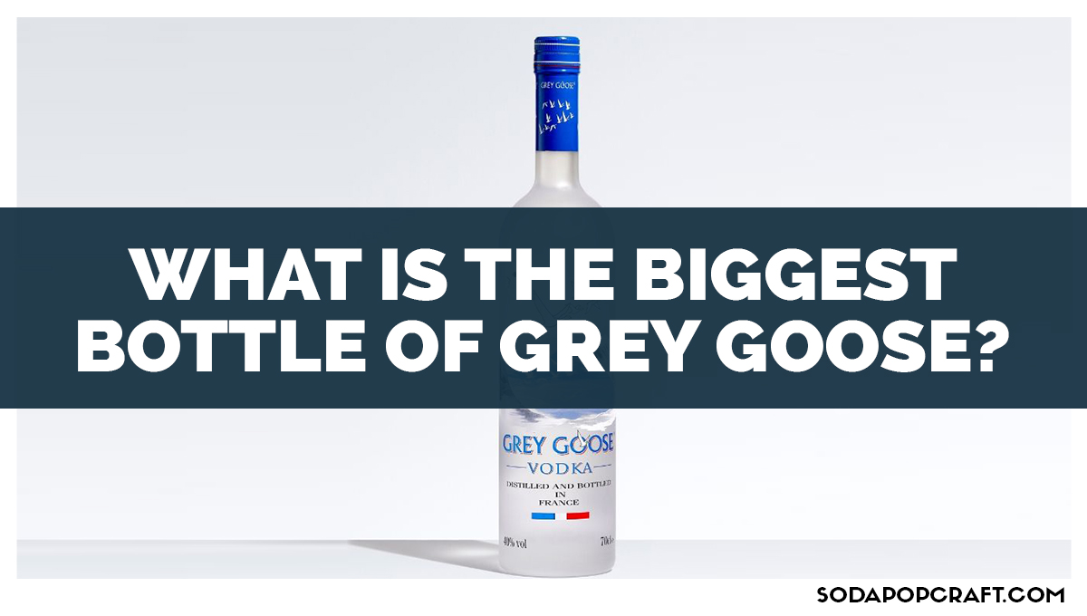 What is the Biggest Bottle Of Grey Goose