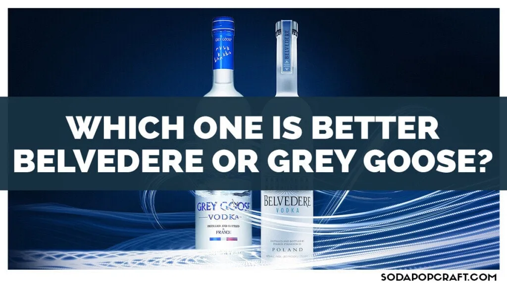 Which one is better Belvedere or Grey Goose