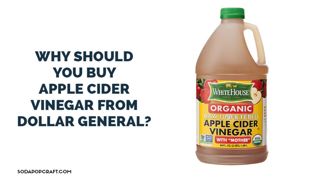 Why Should You Buy Apple Cider Vinegar from Dollar General